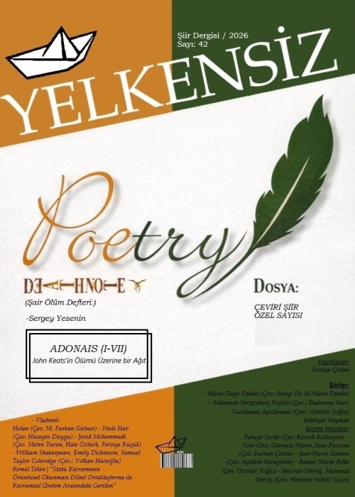 Yelkensiz Şiir Dergisi - 42. Sayı (2026/Yıl: 13)
